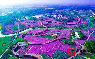 三臺(tái)山國(guó)家森林公園+項(xiàng)王故里團(tuán)建拓展活動(dòng)