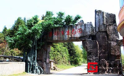 靖安象湖灣生態(tài)公園團(tuán)建拓展活動