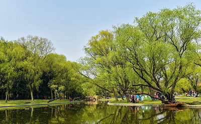 共青森林公園一日游公司團建+燒烤拓展訓練